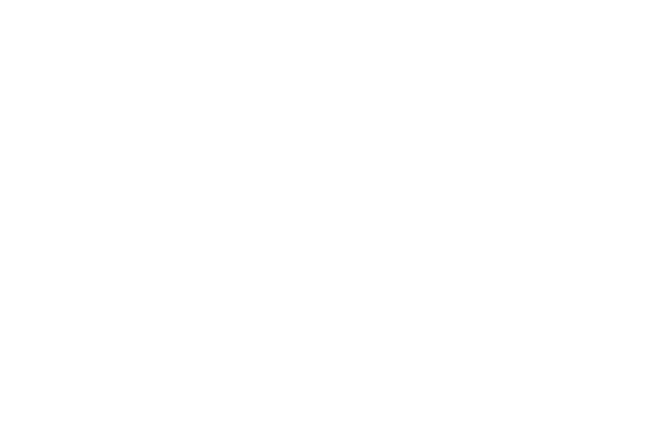 916.26256-madeineurope_wit